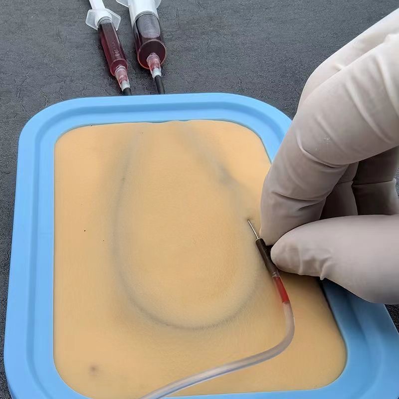 ชุดฝึกเจาะเลือดพร้อมโมดูลฝึกเก - Medical Lab Kit บทวิจารณ์และราคา