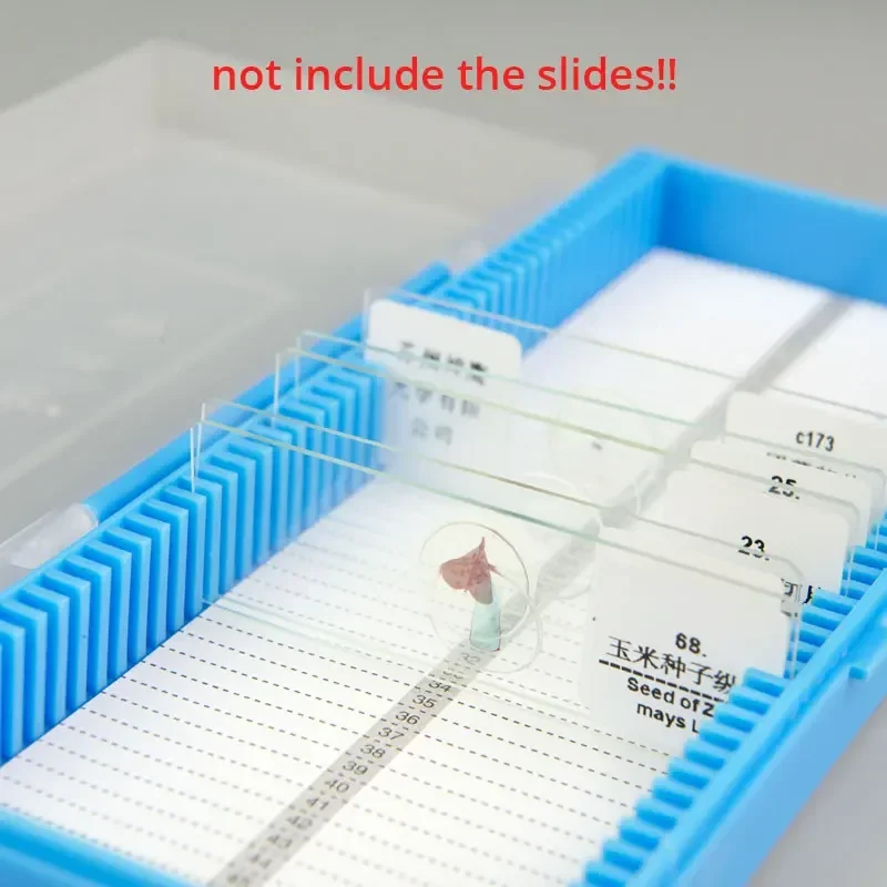 กล่องเก็บสไลด์แก้วพลาสติกสำหรั - Pathology Slide Storage บทวิจารณ์และราคา