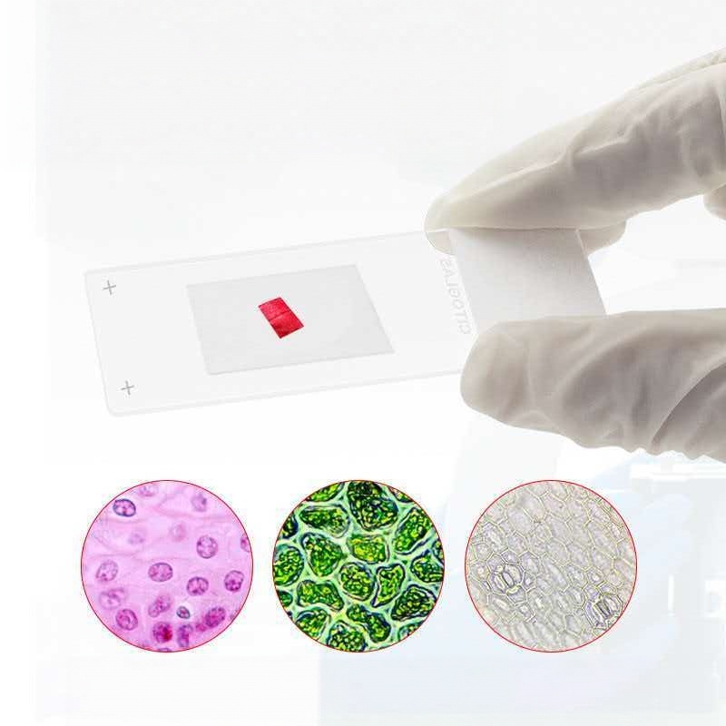 แผ่นสไลด์สำหรับกล้องจุลทรรศน์  - Pathology Slide Storage บทวิจารณ์และราคา